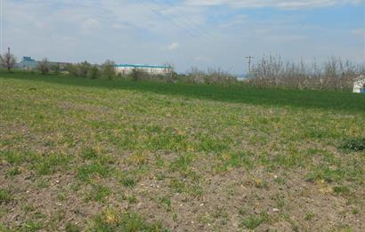 C.21 LOCA ALTIEYLÜL PAŞAKÖY MAH.SATILIK 4664 M2 FIRSAT ARSA