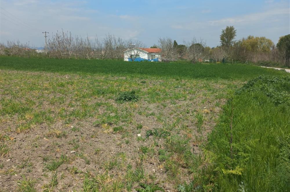 C.21 LOCA ALTIEYLÜL PAŞAKÖY MAH.SATILIK 4664 M2 FIRSAT ARSA