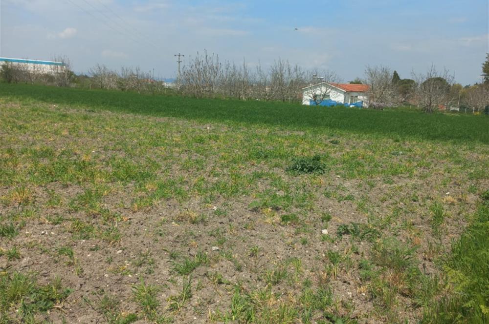 C.21 LOCA ALTIEYLÜL PAŞAKÖY MAH.SATILIK 4664 M2 FIRSAT ARSA