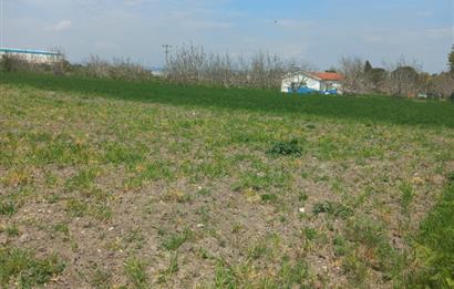 C.21 LOCA ALTIEYLÜL PAŞAKÖY MAH.SATILIK 4664 M2 FIRSAT ARSA