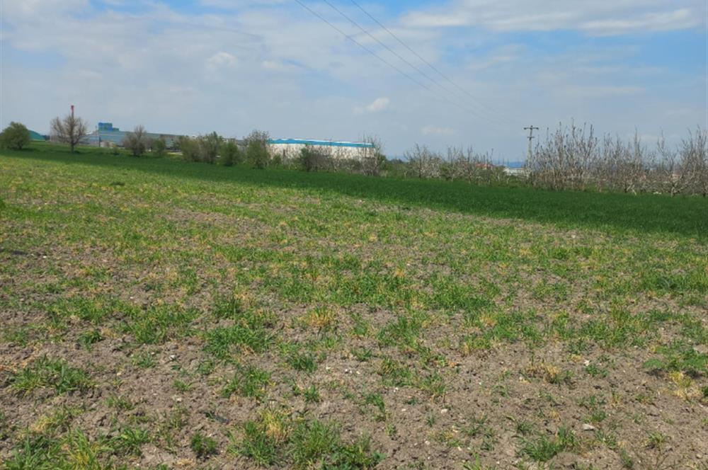 C.21 LOCA ALTIEYLÜL PAŞAKÖY MAH.SATILIK 4664 M2 FIRSAT ARSA