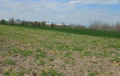 C.21 LOCA ALTIEYLÜL PAŞAKÖY MAH.SATILIK 4664 M2 FIRSAT ARSA