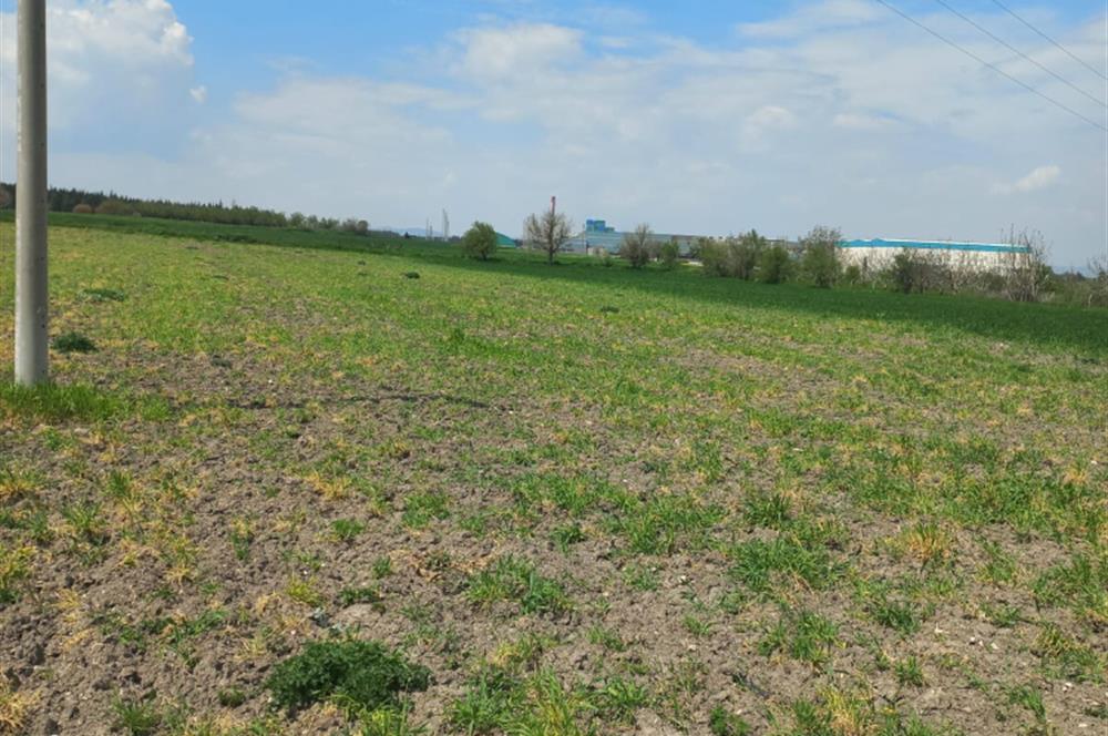 C.21 LOCA ALTIEYLÜL PAŞAKÖY MAH.SATILIK 4664 M2 FIRSAT ARSA