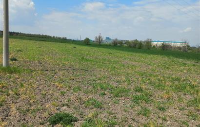 C.21 LOCA ALTIEYLÜL PAŞAKÖY MAH.SATILIK 4664 M2 FIRSAT ARSA