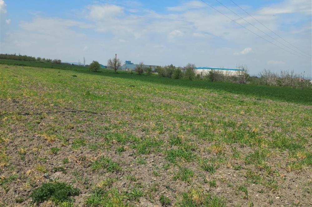 C.21 LOCA ALTIEYLÜL PAŞAKÖY MAH.SATILIK 4664 M2 FIRSAT ARSA