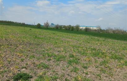 C.21 LOCA ALTIEYLÜL PAŞAKÖY MAH.SATILIK 4664 M2 FIRSAT ARSA