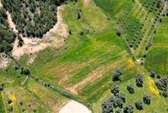 Bodrum - Milas Kısırlarda Müstakil Parsel Tarla - 2 - 33666