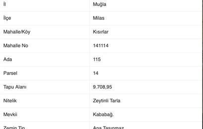 Bodrum - Milas Kısırlarda Müstakil Parsel Tarla