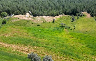 Bodrum - Milas Kısırlarda Müstakil Parsel Tarla