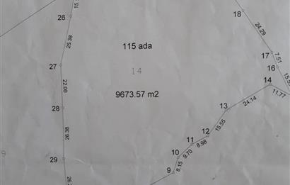 Bodrum - Milas Kısırlarda Müstakil Parsel Tarla