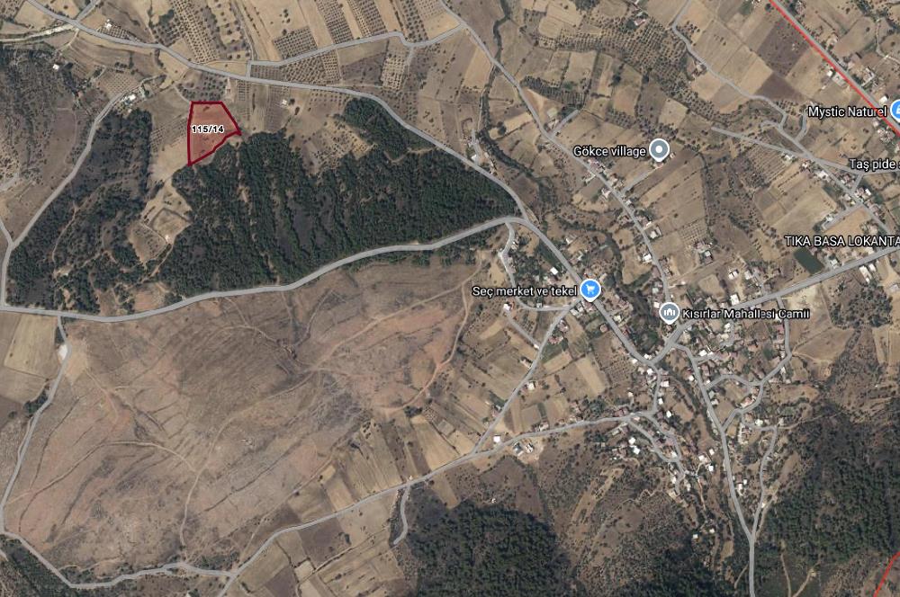 Bodrum - Milas Kısırlarda Müstakil Parsel Tarla