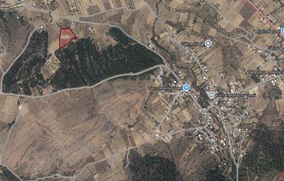 Bodrum - Milas Kısırlarda Müstakil Parsel Tarla