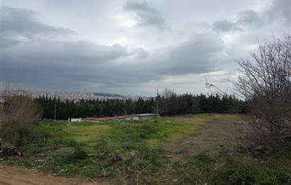 KOCAELİ ,GEBZE ESKİHİSAR FERİBOT YOLU ÜZERİ 3345m2 KİRALIK ARSA