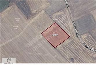 Biga Balıklıçeşme’de Sulu Tarıma Uygun Tarla - 11 - 33707