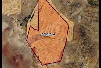BEYNAM ORMANLARINDA SATILIK YATIRIMLIK ARSA - 2 - 33715