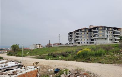 1312016287 CENTURY 21 BAL'DAN GAZİOSMANPAŞA'DA SATILIK 221 M2 ARSA