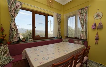 C21 Cius; TarihiYeniGürle Manzaralı Satılık Bahçeli Müstakil 4+1