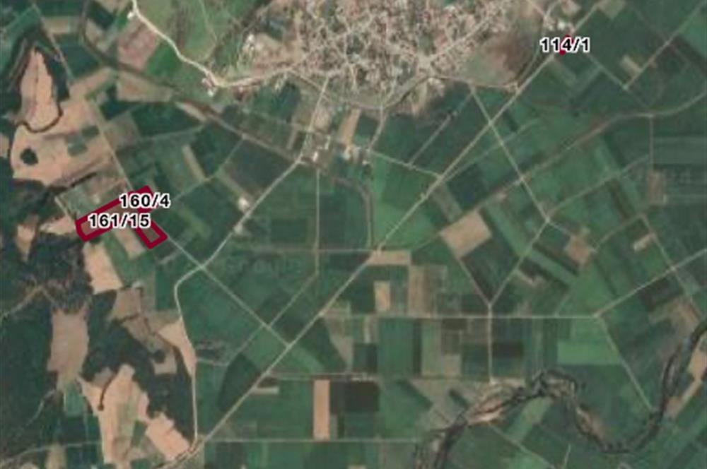 BURHANİYE KUYUCAKTA VERİMLİ ZEYTİNLİK 639,96 M²