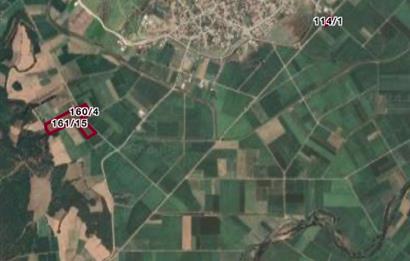 BURHANİYE KUYUCAKTA VERİMLİ ZEYTİNLİK 639,96 M²