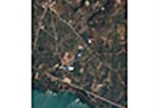  Century 21 EWAdan | Orhangazi Keramette Satılık Zeytinlik - 12 - 33746