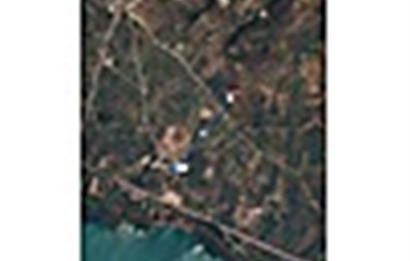  Century 21 EWAdan | Orhangazi Keramette Satılık Zeytinlik