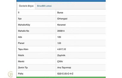  Century 21 EWAdan | Orhangazi Keramette Satılık Zeytinlik