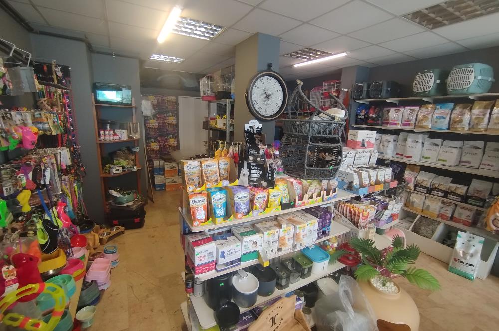 MALTEPE DEVREN KİRALIK PETSHOP + PET KUAFÖR
