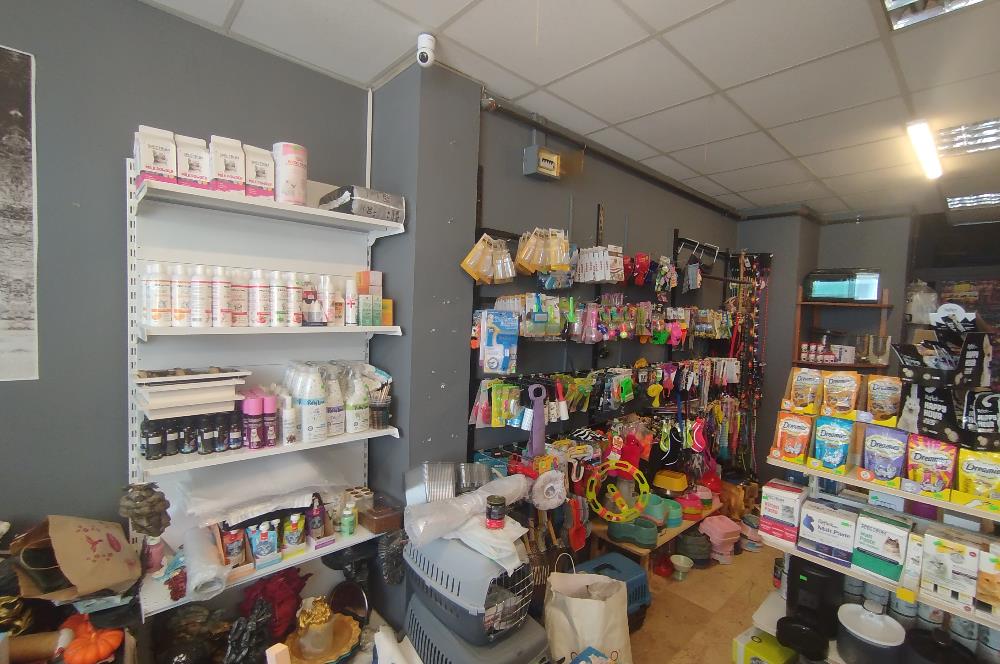MALTEPE DEVREN KİRALIK PETSHOP + PET KUAFÖR