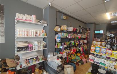 MALTEPE DEVREN KİRALIK PETSHOP + PET KUAFÖR