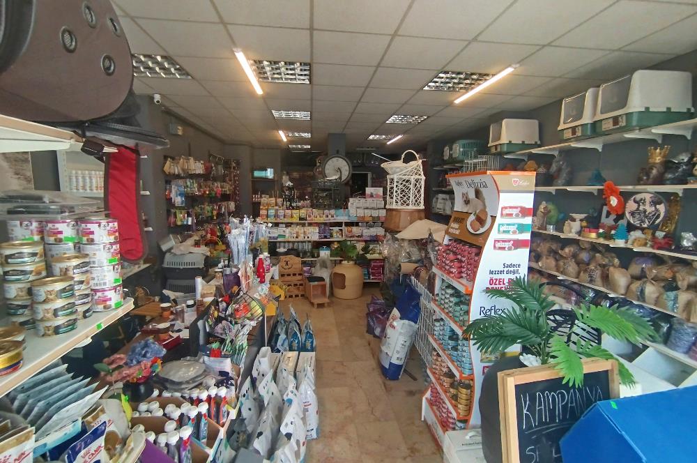 MALTEPE DEVREN KİRALIK PETSHOP + PET KUAFÖR