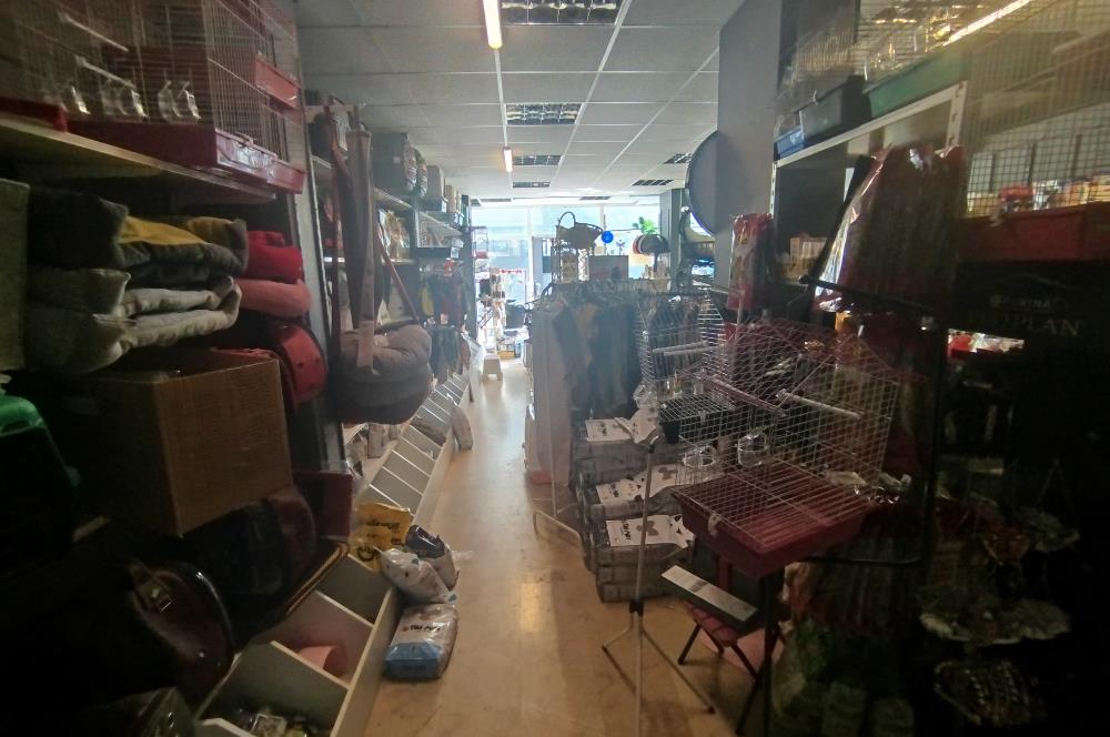 MALTEPE DEVREN KİRALIK PETSHOP + PET KUAFÖR