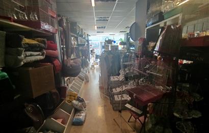 MALTEPE DEVREN KİRALIK PETSHOP + PET KUAFÖR