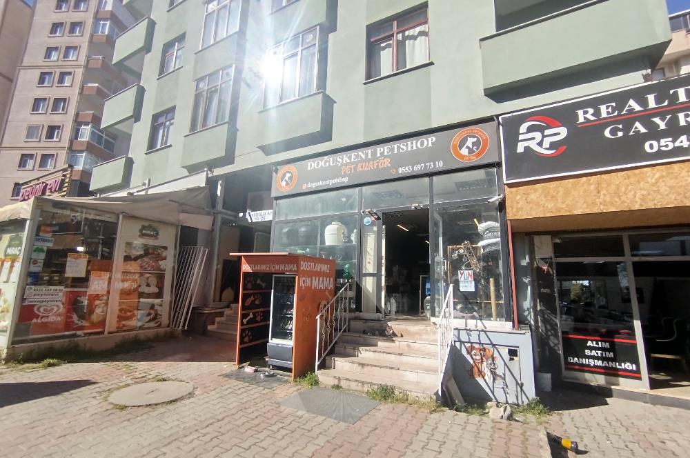 MALTEPE DEVREN KİRALIK PETSHOP + PET KUAFÖR