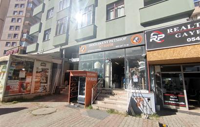 MALTEPE DEVREN KİRALIK PETSHOP + PET KUAFÖR