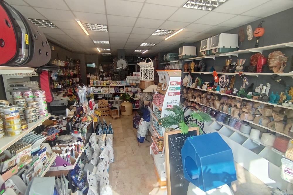 MALTEPE DEVREN KİRALIK PETSHOP + PET KUAFÖR