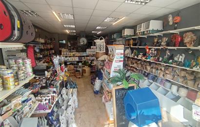MALTEPE DEVREN KİRALIK PETSHOP + PET KUAFÖR