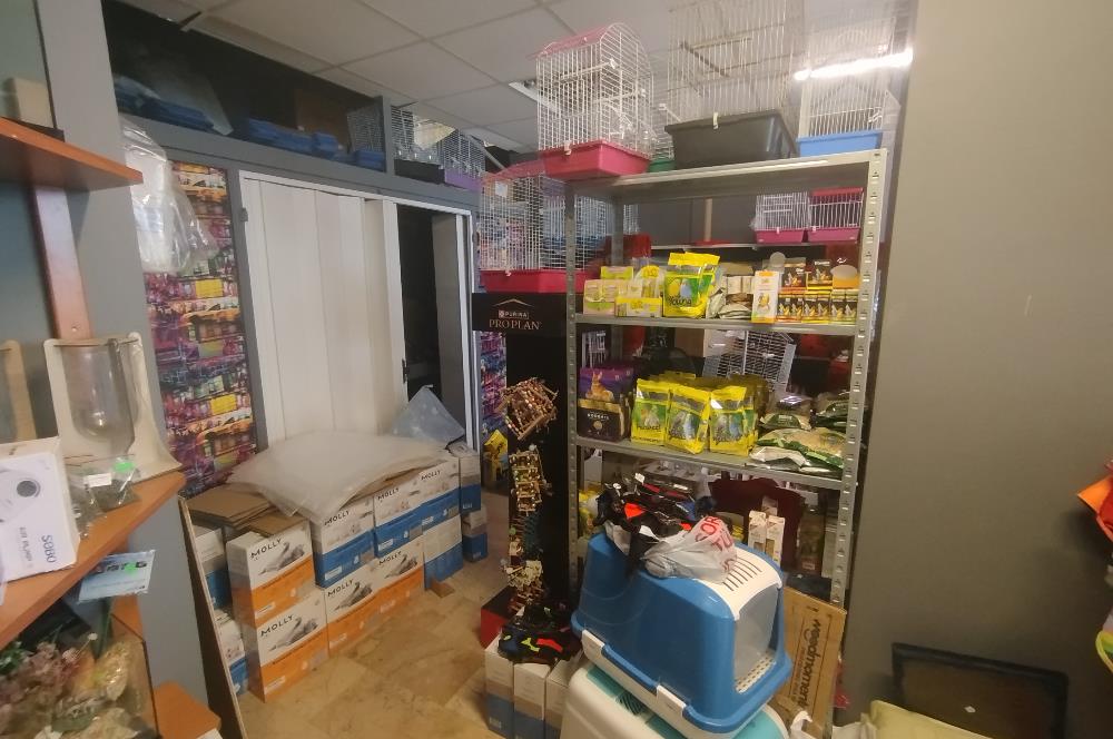 MALTEPE DEVREN KİRALIK PETSHOP + PET KUAFÖR