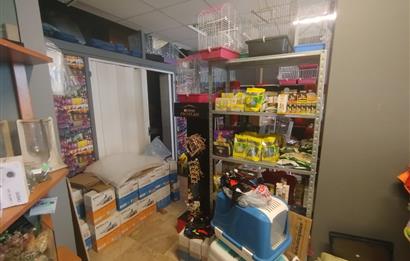 MALTEPE DEVREN KİRALIK PETSHOP + PET KUAFÖR