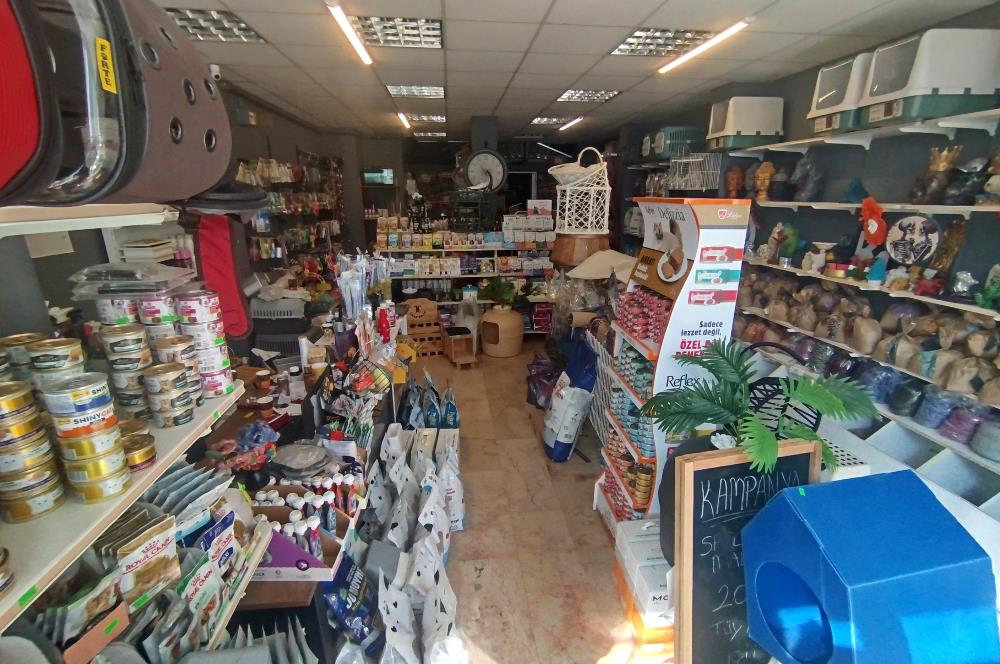 MALTEPE DEVREN KİRALIK PETSHOP + PET KUAFÖR