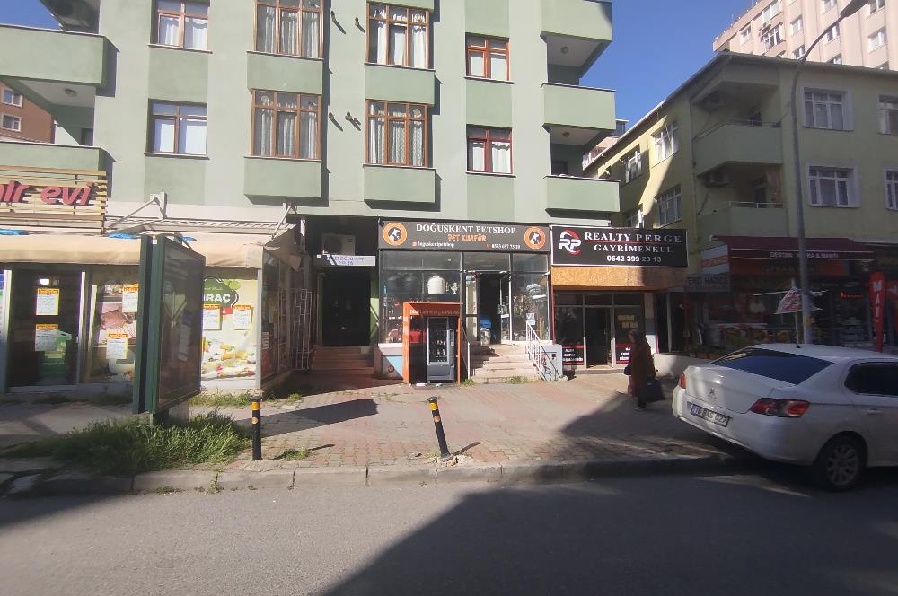 MALTEPE DEVREN KİRALIK PETSHOP + PET KUAFÖR
