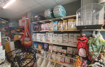 MALTEPE DEVREN KİRALIK PETSHOP + PET KUAFÖR