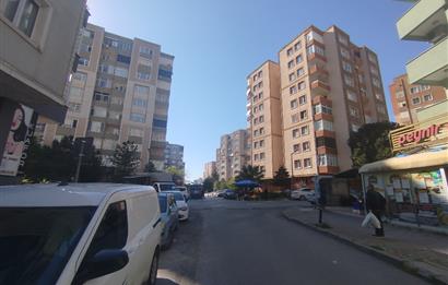 MALTEPE DEVREN KİRALIK PETSHOP + PET KUAFÖR