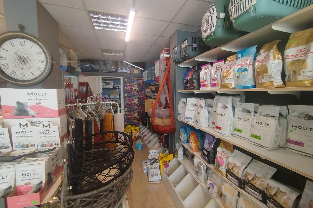 MALTEPE DEVREN KİRALIK PETSHOP + PET KUAFÖR