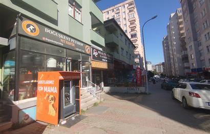 MALTEPE DEVREN KİRALIK PETSHOP + PET KUAFÖR