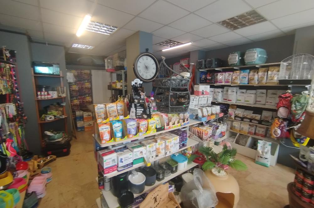 MALTEPE DEVREN KİRALIK PETSHOP + PET KUAFÖR