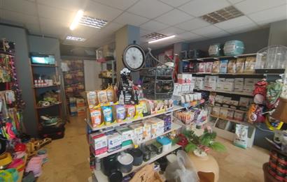 MALTEPE DEVREN KİRALIK PETSHOP + PET KUAFÖR