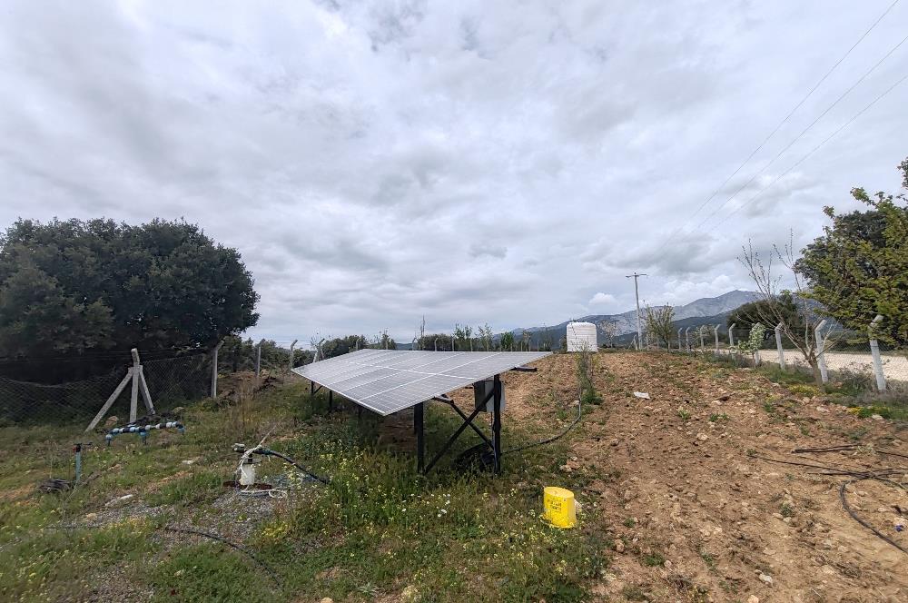 C21 Loft'tan Vakıf Mahallesinde Satılık Cennet Elması Bahçesi