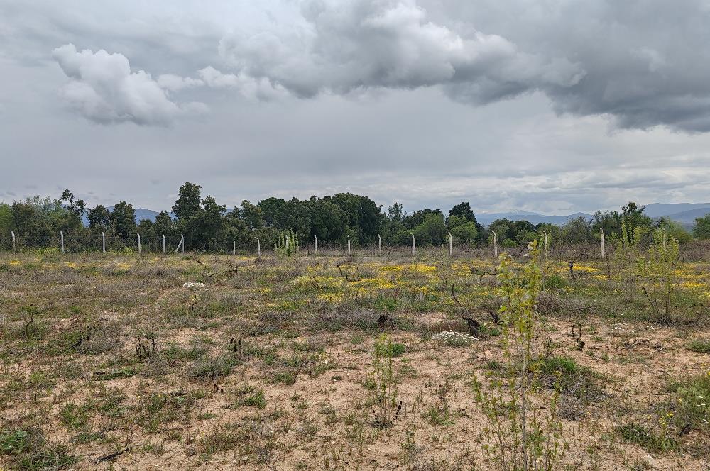 C21 Loft'tan Karahisar Mahallesinde Satılık Bağ