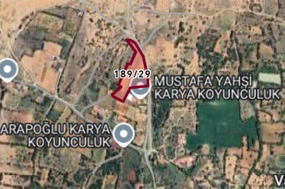 C21 Loft'tan Vakıf Mahallesinde Satılık Cennet Elması Bahçesi