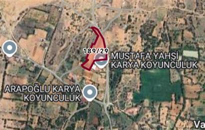 C21 Loft'tan Vakıf Mahallesinde Satılık Cennet Elması Bahçesi